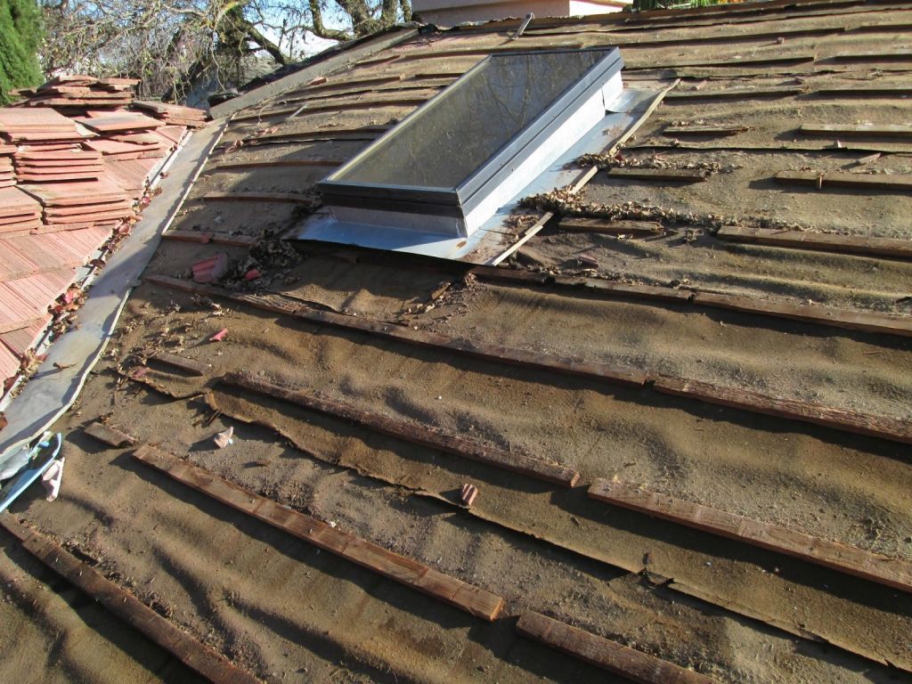 Shingle Roofing Shingle Roofing